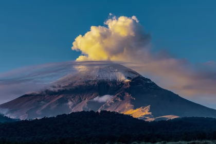 About Us, Dominion Mandates